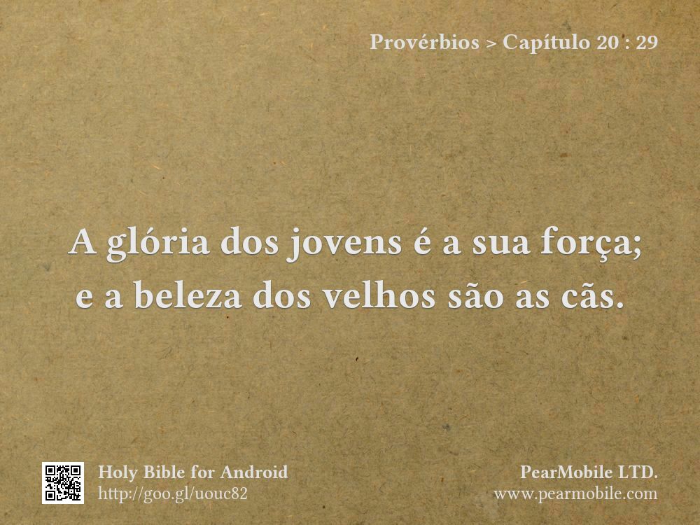 Provérbios, Capítulo 20:29